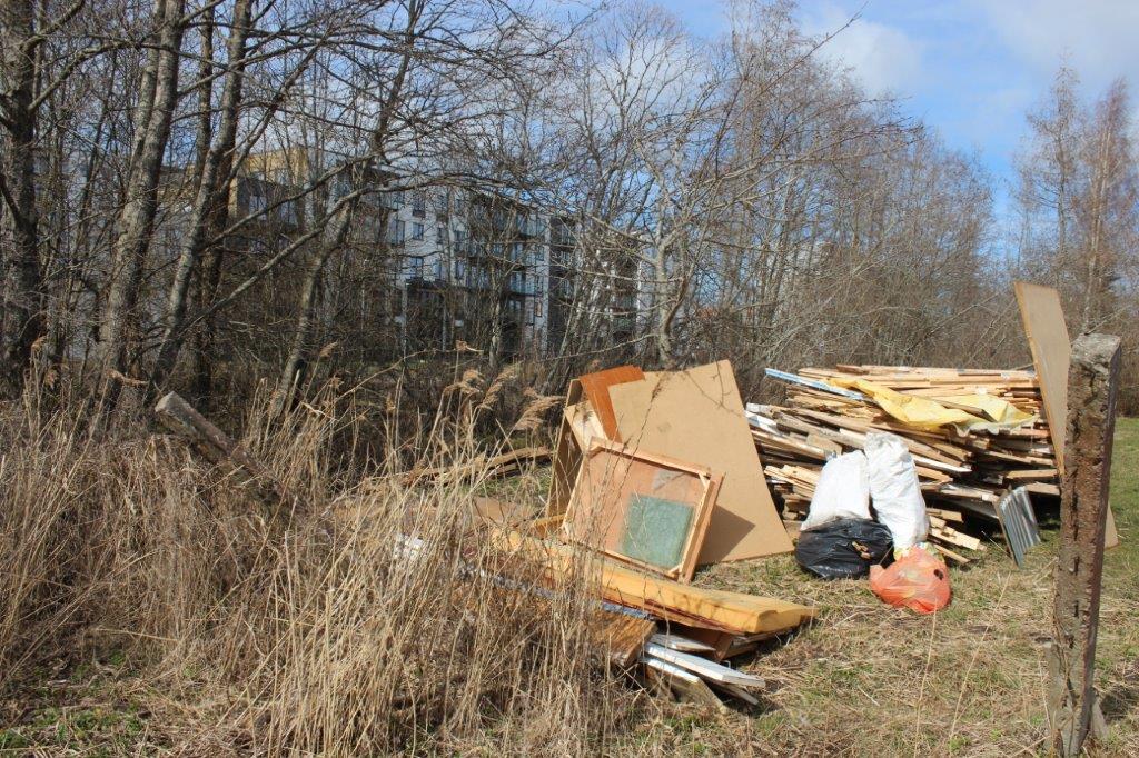 В Витебске за 2024 год ликвидировано более 200 несанкционированных свалок