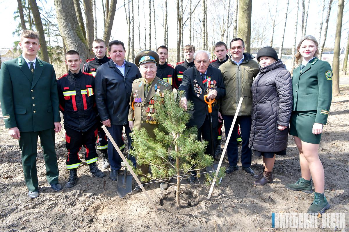 Александр Субботин принял участие в посадке кедровой рощи на Кургане Бессмертия в Полоцке