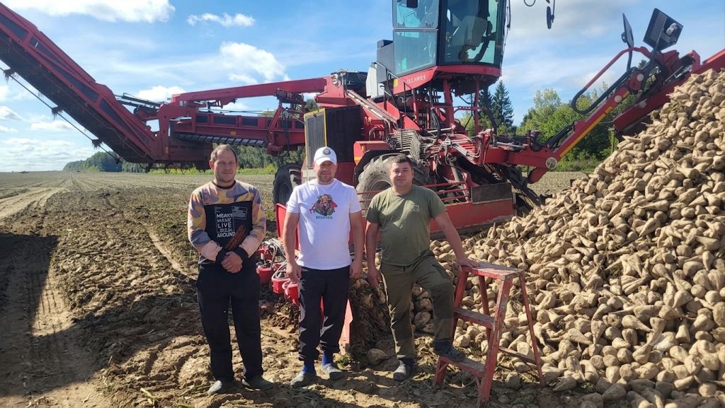 В СУП "Зубревичи-Агро" Оршанского района в разгаре уборка сахарной свеклы