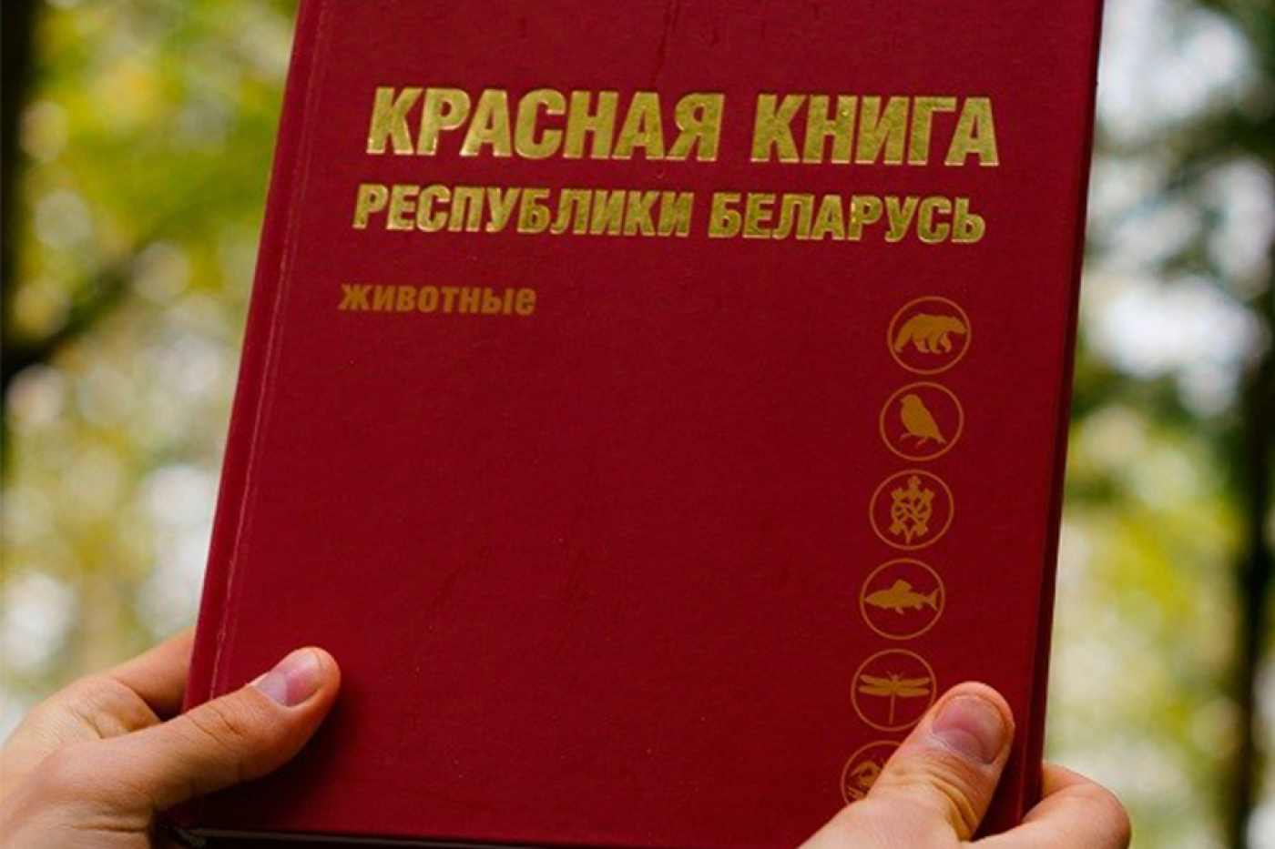 В Витебской области выявлены виды животных и растений, подлежащие специальной охране