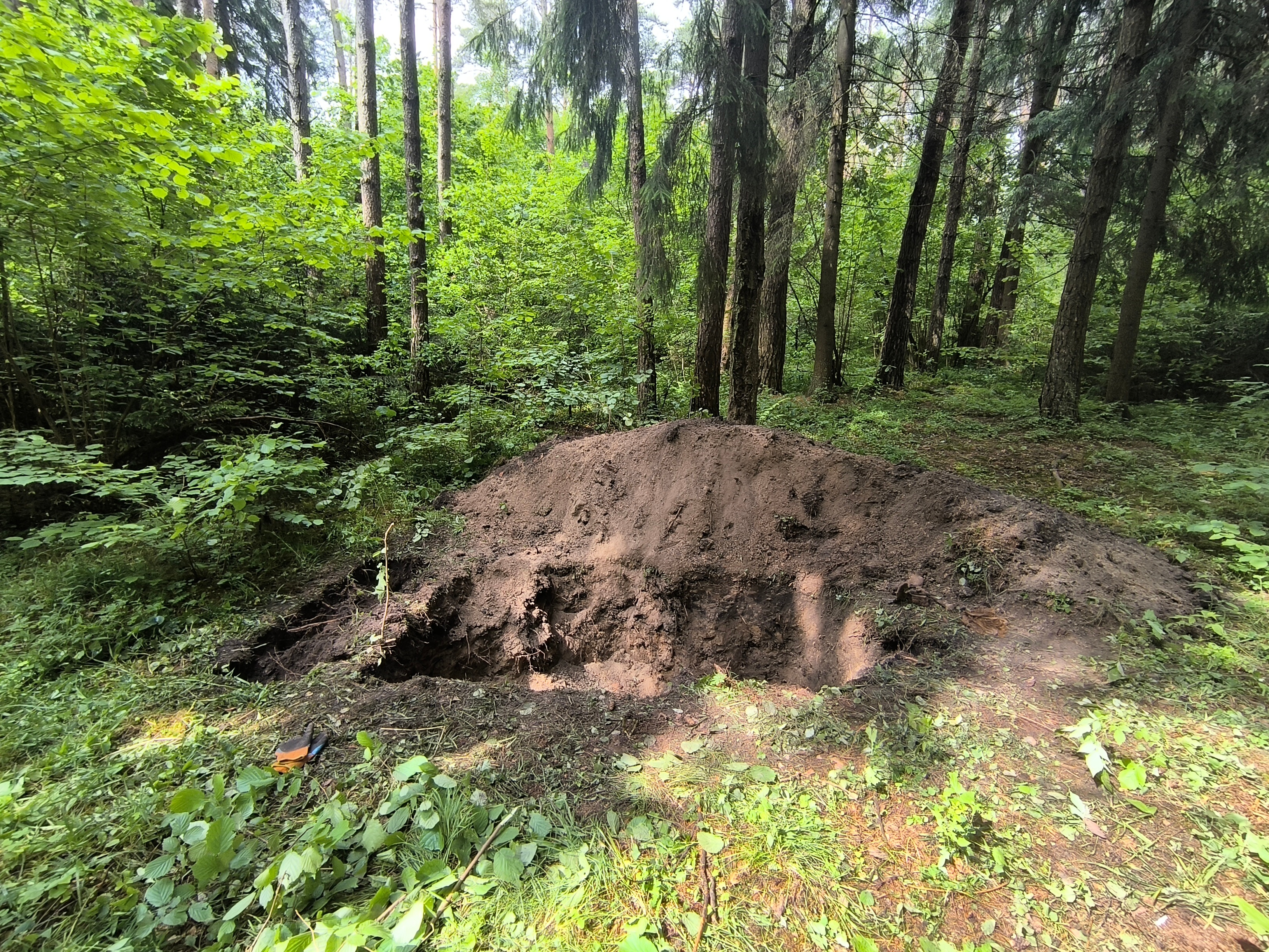 В Оршанском районе обнаружены новые факты преступлений нацистов в годы Великой Отечественной войны