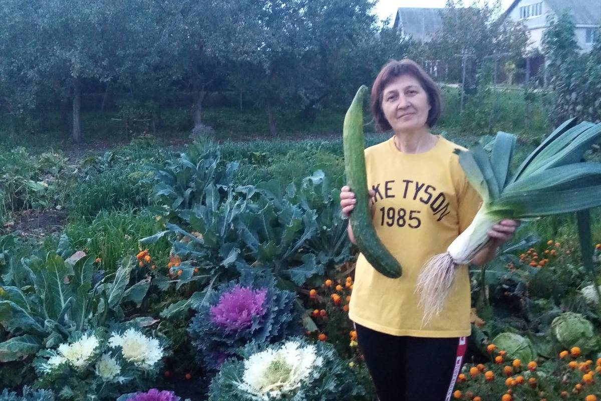 Лук-порей: жительница Чашник рассказала как вырастить «богатыря» на грядке?