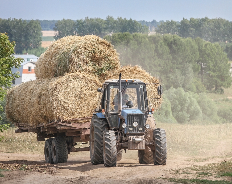 Недостатки по заготовке кормов рассмотрены на заседании коллегии КГК Витебской области