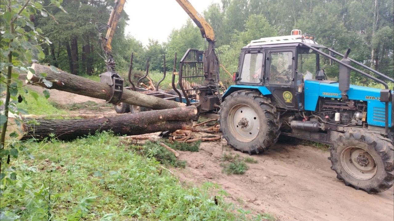 Лесники устраняют последствия непогоды в Витебской области
