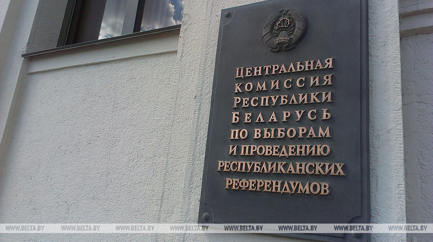 "Болею за работу своих коллег". Ермошина о Конституции и работе ЦИК
