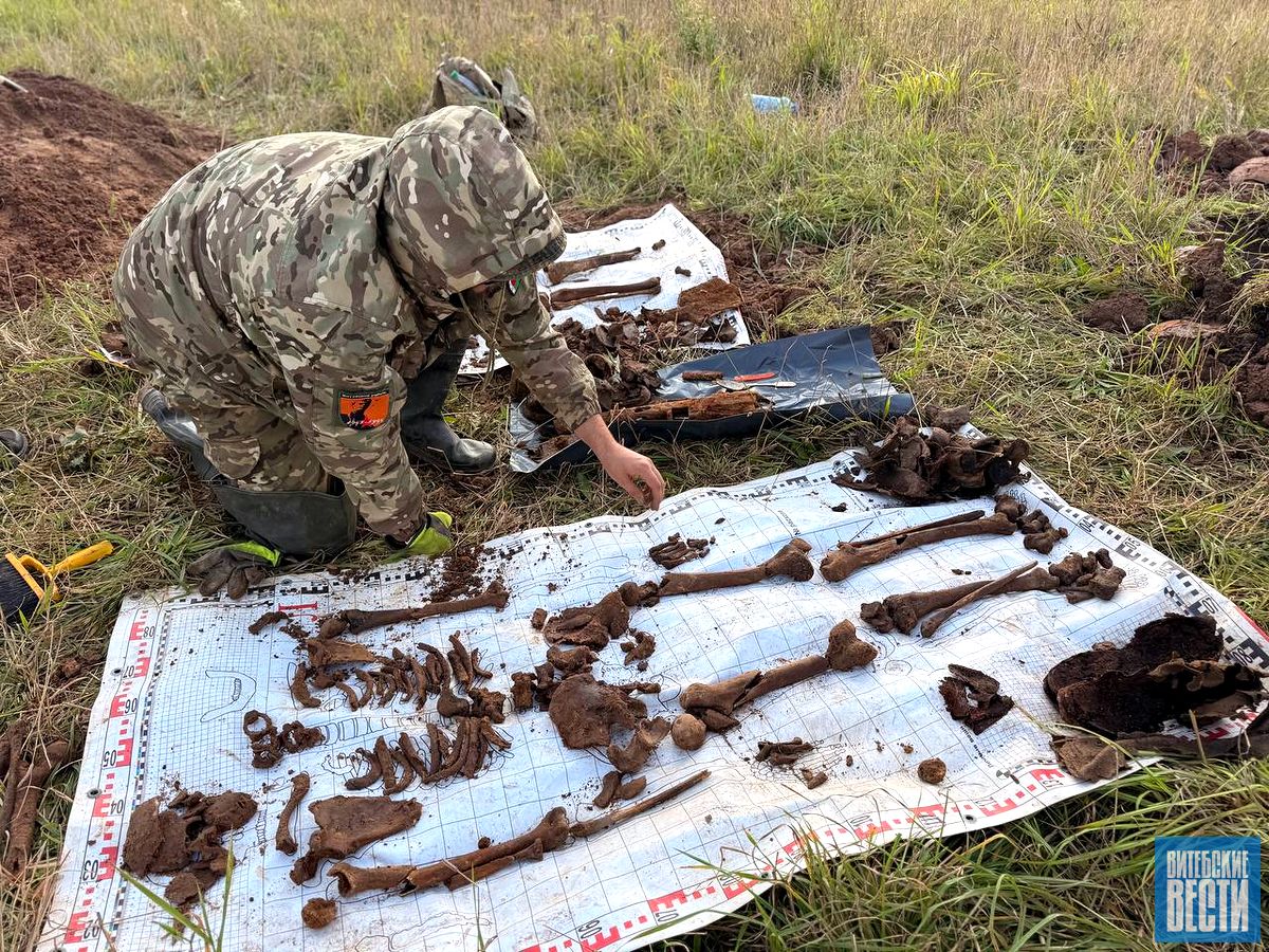 В Дубровенском районе поисковики подняли останки 4-х бойцов Красной армии