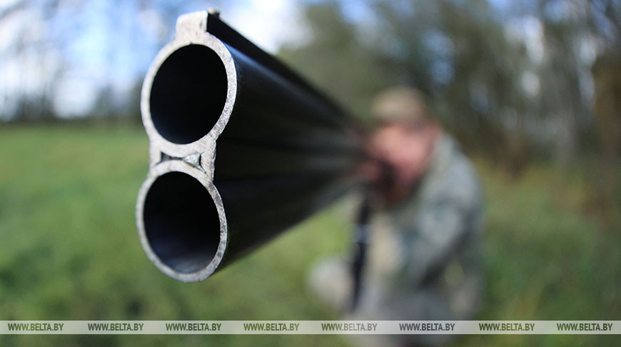 Министерство лесного хозяйства Беларуси прорабатывает вопрос либерализации правил охоты