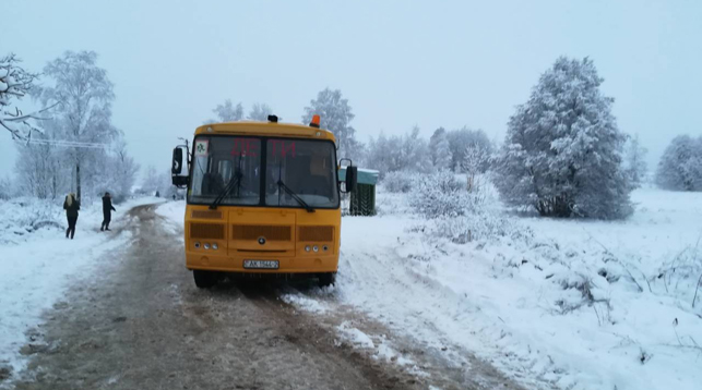 Уголовное дело завели на водителя автобуса, сбившего мальчика в Чашникском районе