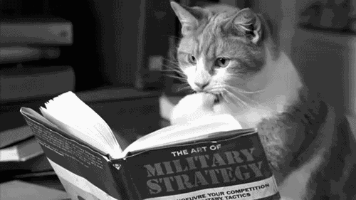 Афиша Витебска: путешествие с доктором Дулиттлом и литературный фестиваль Pradmova