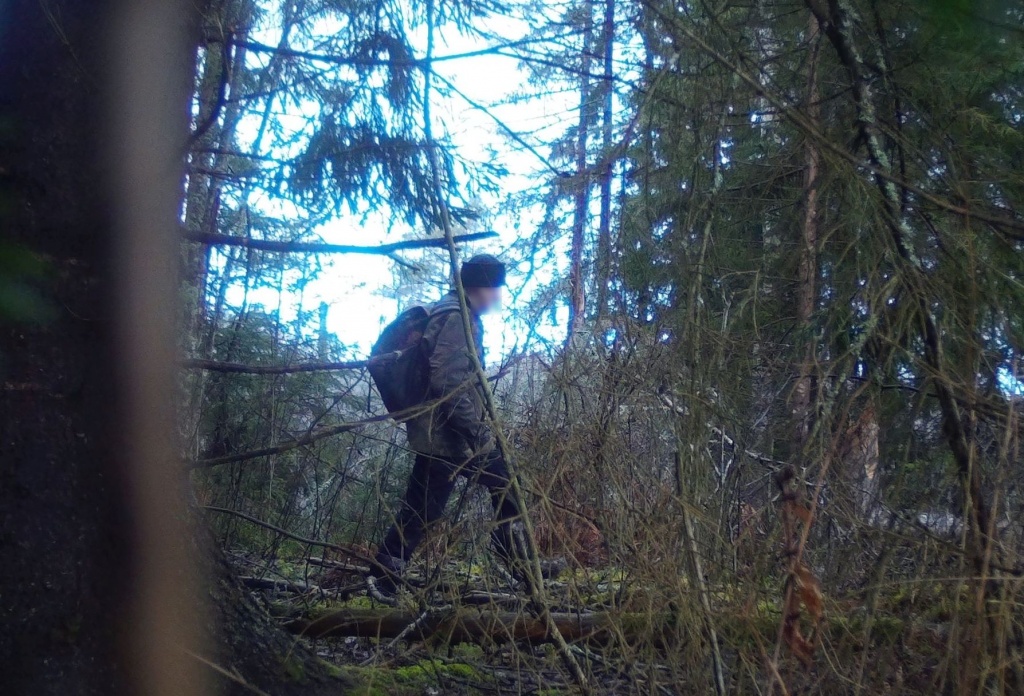 В Россонском районе благодаря фотоловушке задержали браконьера, от действий которого погибла лосиха