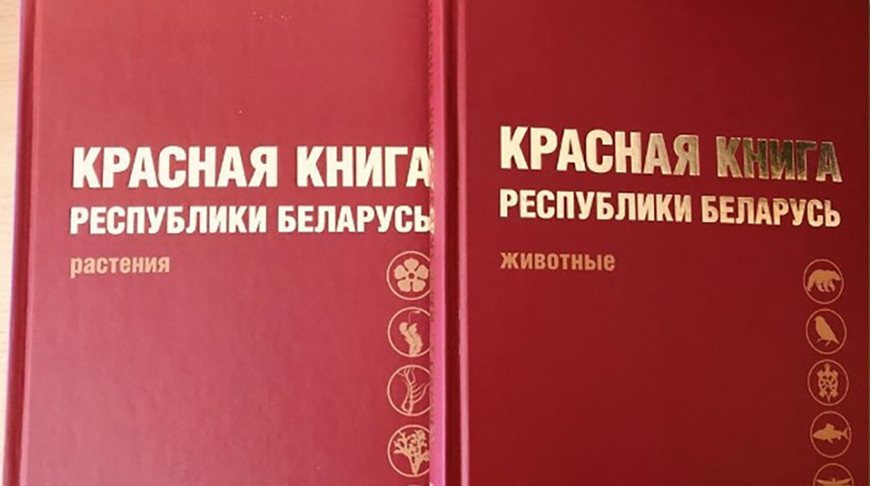 Места обитания диких краснокнижных животных в Городокском районе переданы под охрану