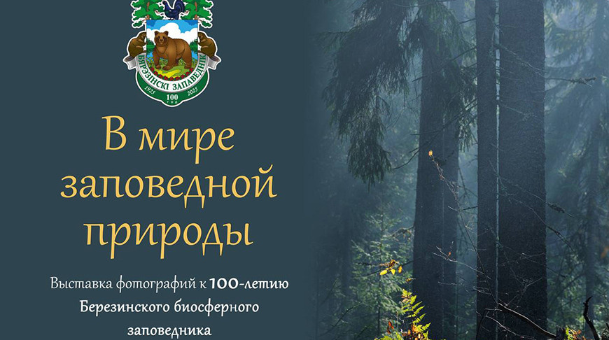Фотопроект о Березинском биосферном заповеднике представят в НХМ