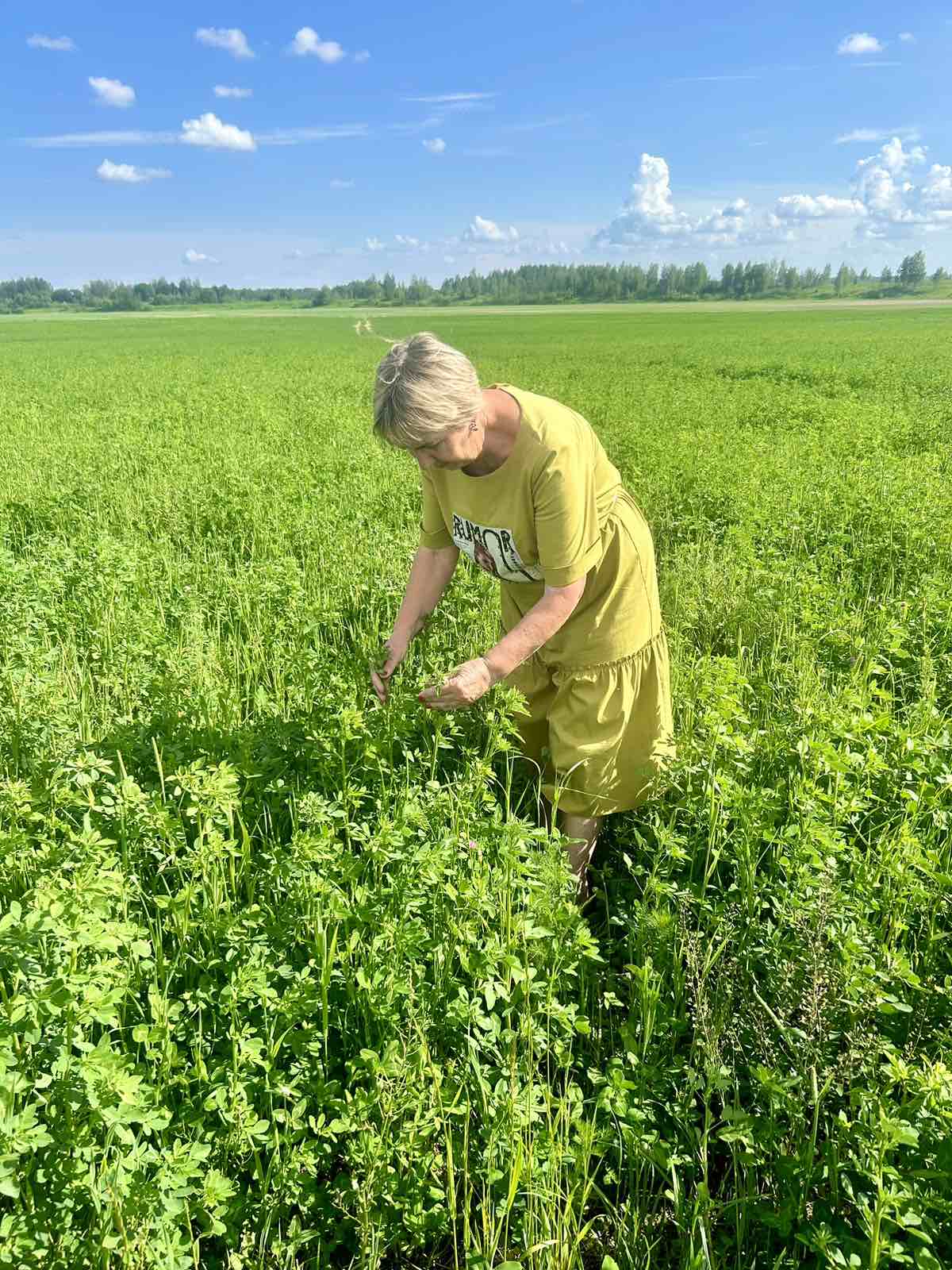 Ученые Витебской ветакадемии предложили разработки по повышению продуктивности молочного скота