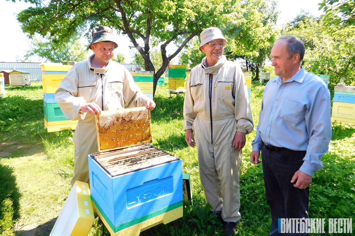 В Глубокском районе подвели итоги конкурса инновационных идей в сфере пчеловодства
