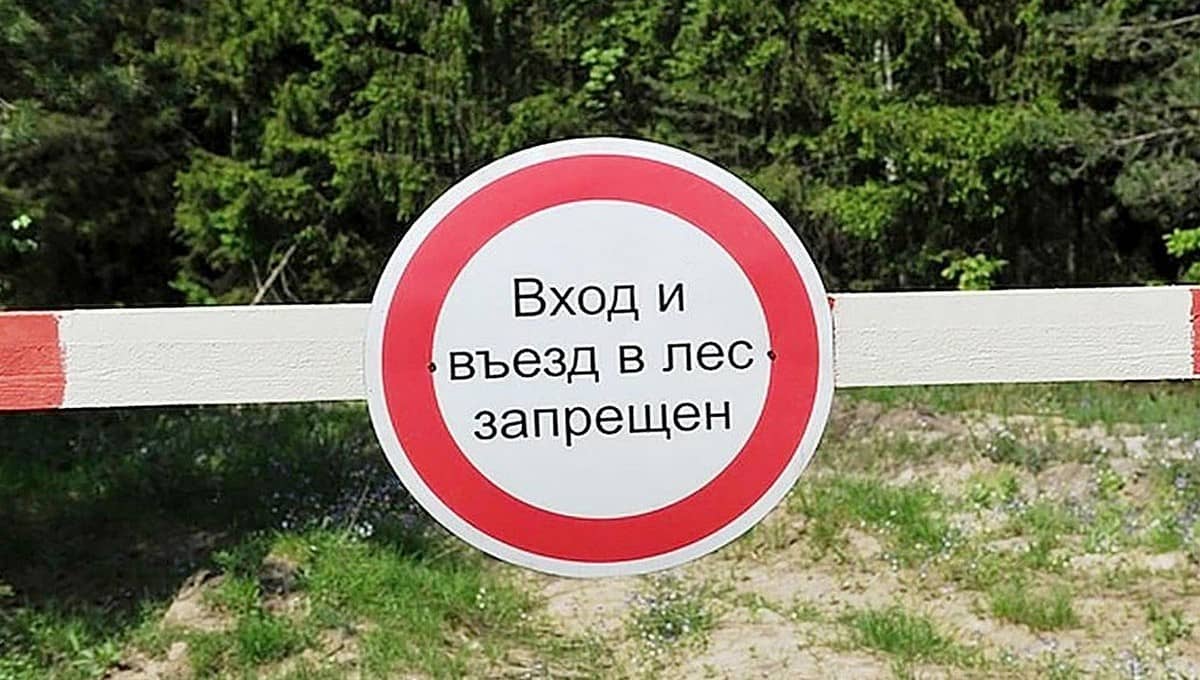 Во всех районах Витебской области, кроме Браславского, введен запрет на посещение лесов