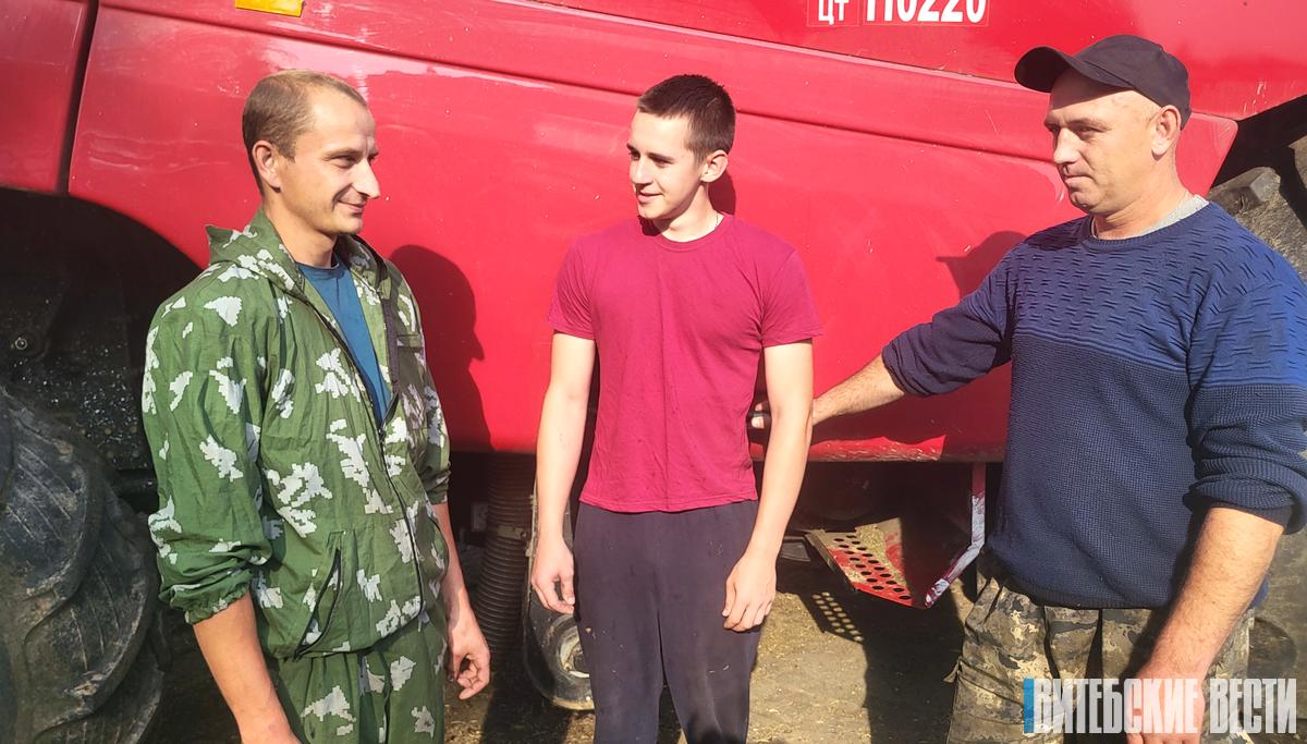 На конвейере – горох. Аграрии Дубровенского района убирают ценную бобовую культуру