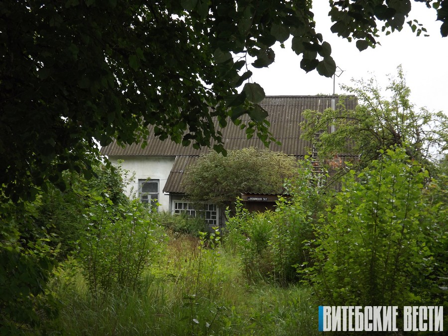 В Городокском районе в реестре пустующих числится 8 домов, еще на 12 готовятся документы