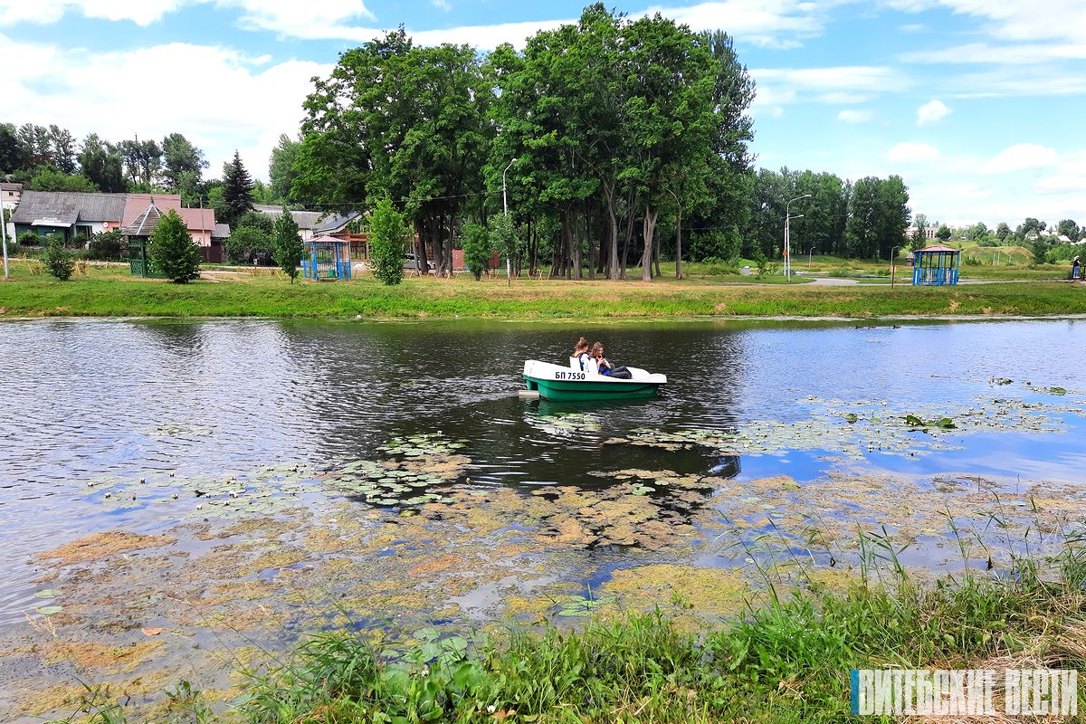 Цветущие островки белых лилий украсили реку Витьба в городской черте Витебска 