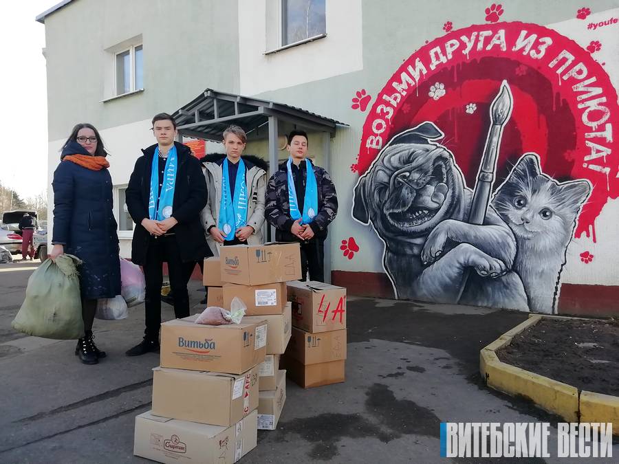 Более 30 коробок с кормами передали витебскому приюту для животных волонтеры из «Школы мира»