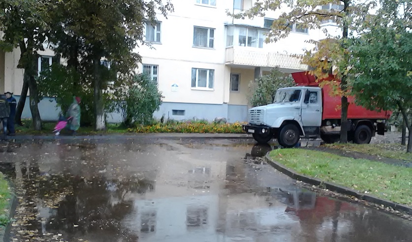 В Витебске вынесен приговор водителю мусоровоза, насмерть сбившего пенсионера 