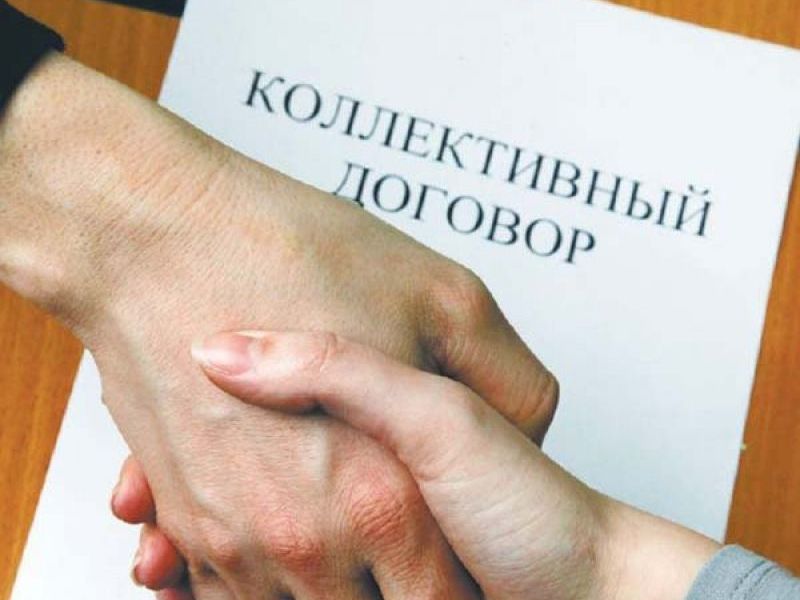 Какие социальные гарантии и бонусы предусмотрены колдоговорами организаций Витебской области?
