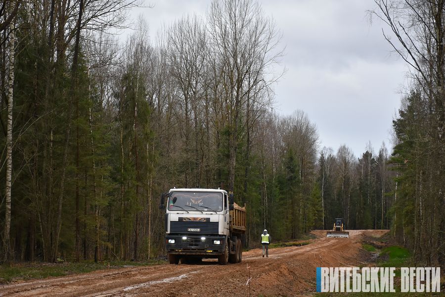В Витебской области в 2021 году построят почти 37 км лесохозяйственных дорог