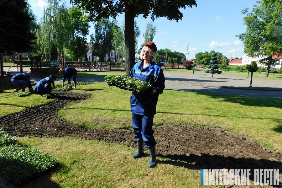 Как расцветает Орша, узнала корреспондент «ВВ», примерив роль озеленителя