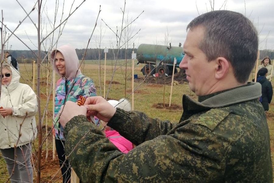 В деревне Будиловка Докшицкого района на республиканском субботнике высадили березовую аллею Памяти и Единства