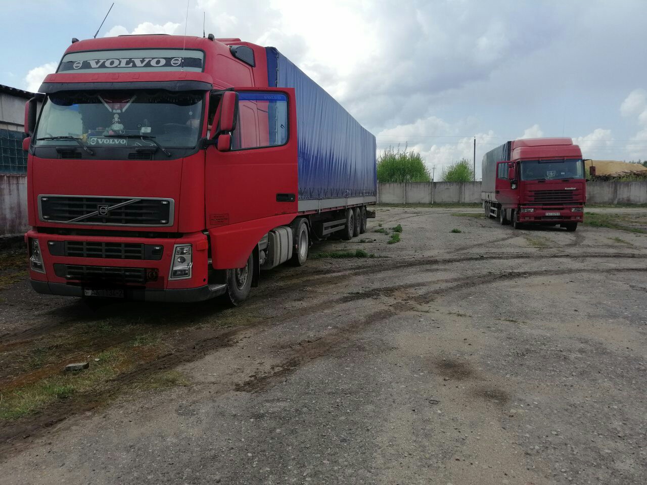В Россонском районе пресекли поставку 60 тонн яблок сомнительного качества