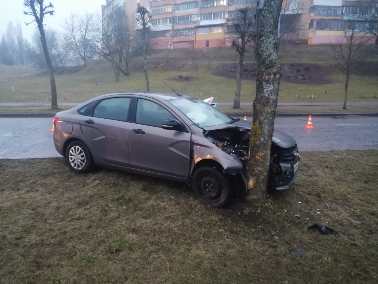 В Новополоцке водитель не справился с управлением и врезался в дерево