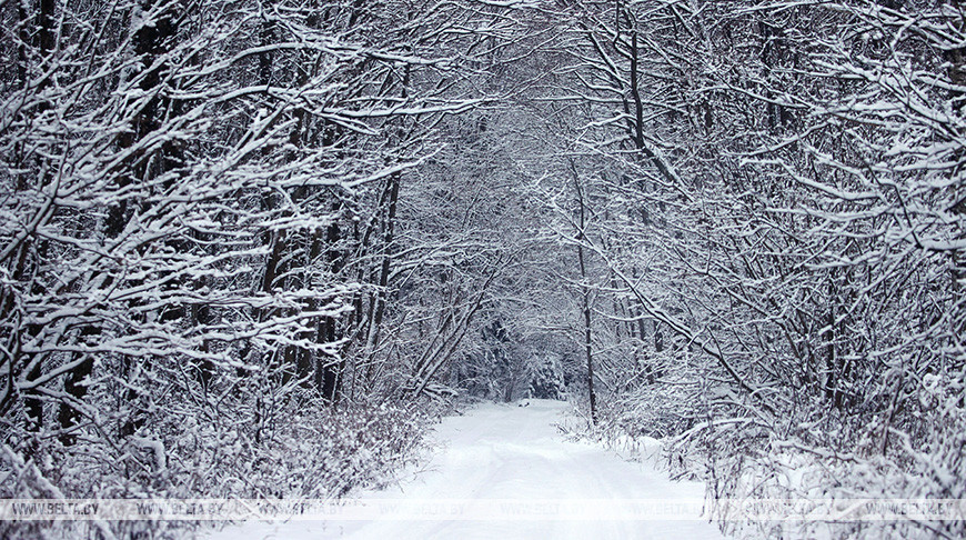 Погода в Витебске на 16 января: временами снег и до -2°C