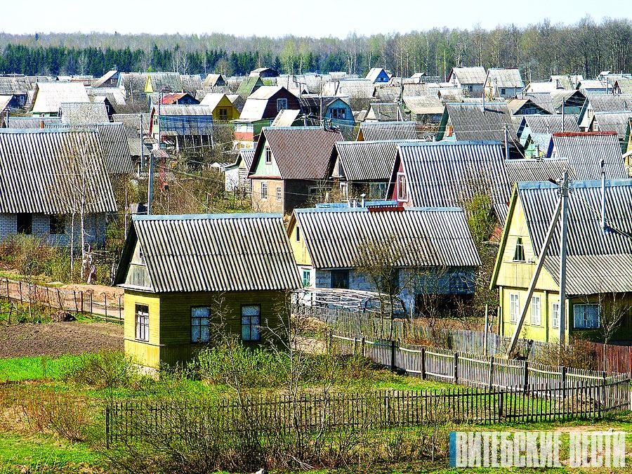 Отсутствие регистрации и захват земли. Какие нарушения допускают в садоводческих товариществах Витебской области?