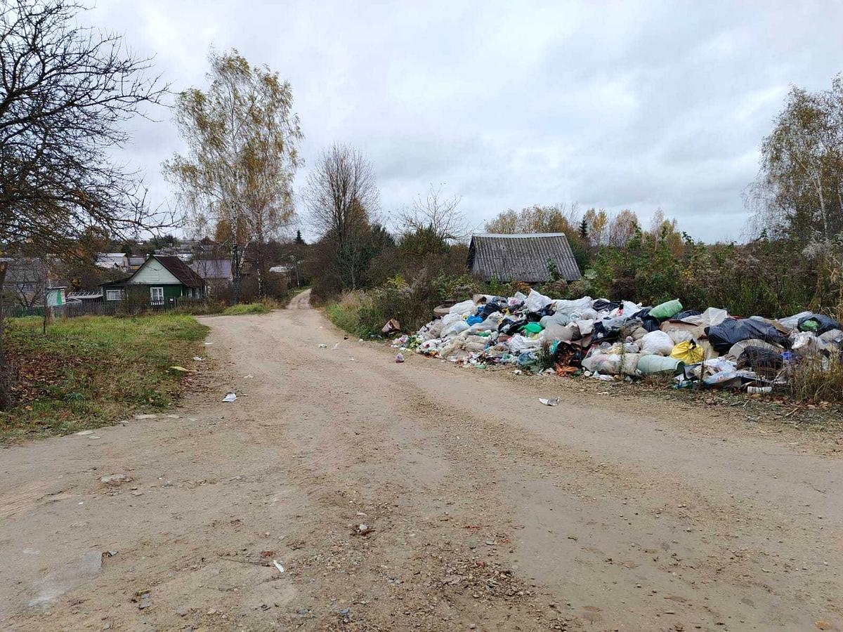 Привлечено 29 виновных на сумму свыше 57 тыс. рублей. В Витебской области борются с несанкционированными свалками 