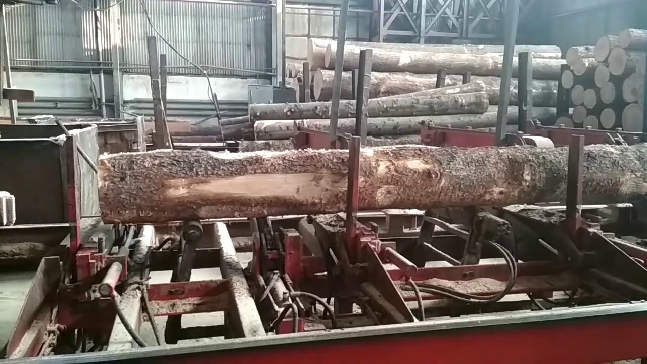 Два предприятия из Витебской области включены в состав "Беллесбумпрома"