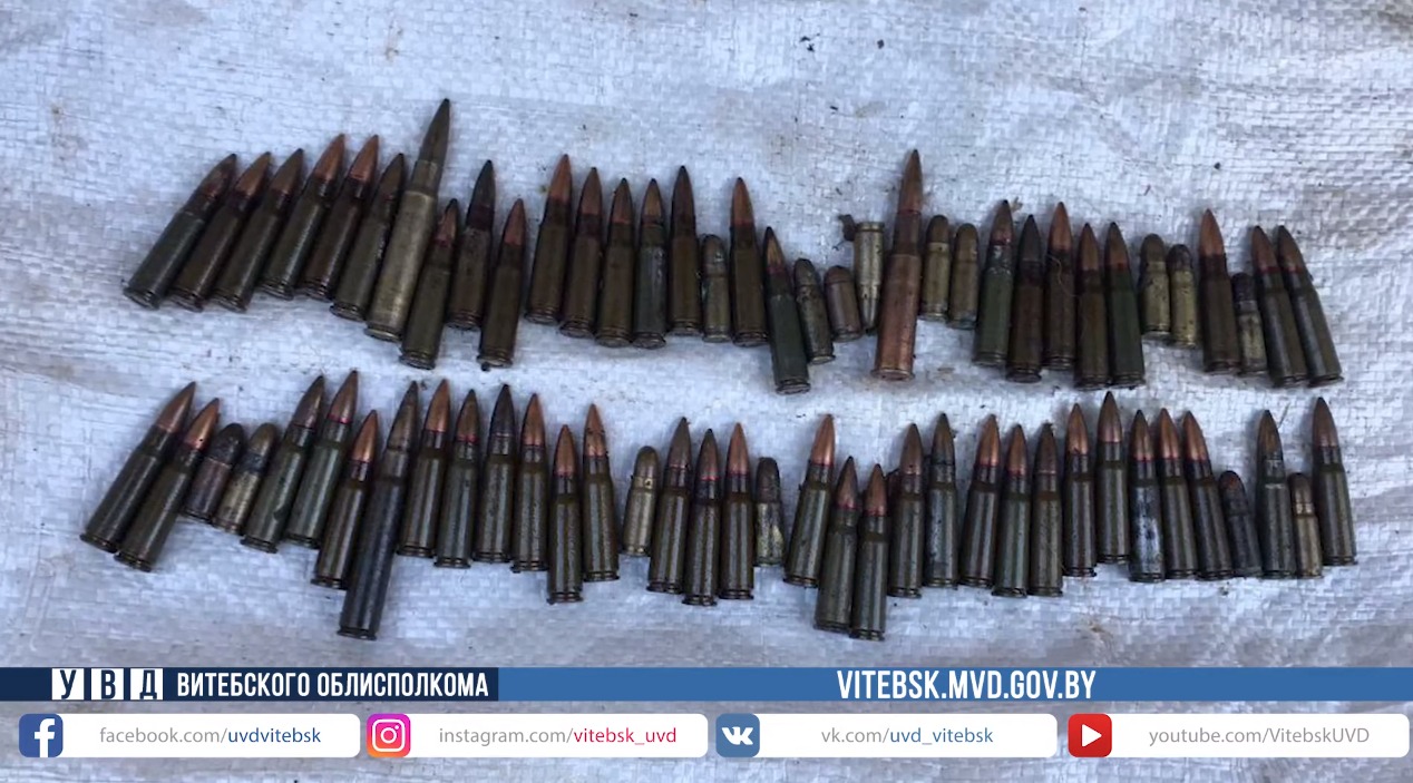 Пенсионер из Витебска хранил дома почти 17,5 тысяч боевых патронов и ружье