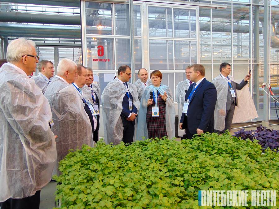 Республиканский семинар по развитию сельскохпроизводства предприятий минэнерго прошел в Оршанском районе