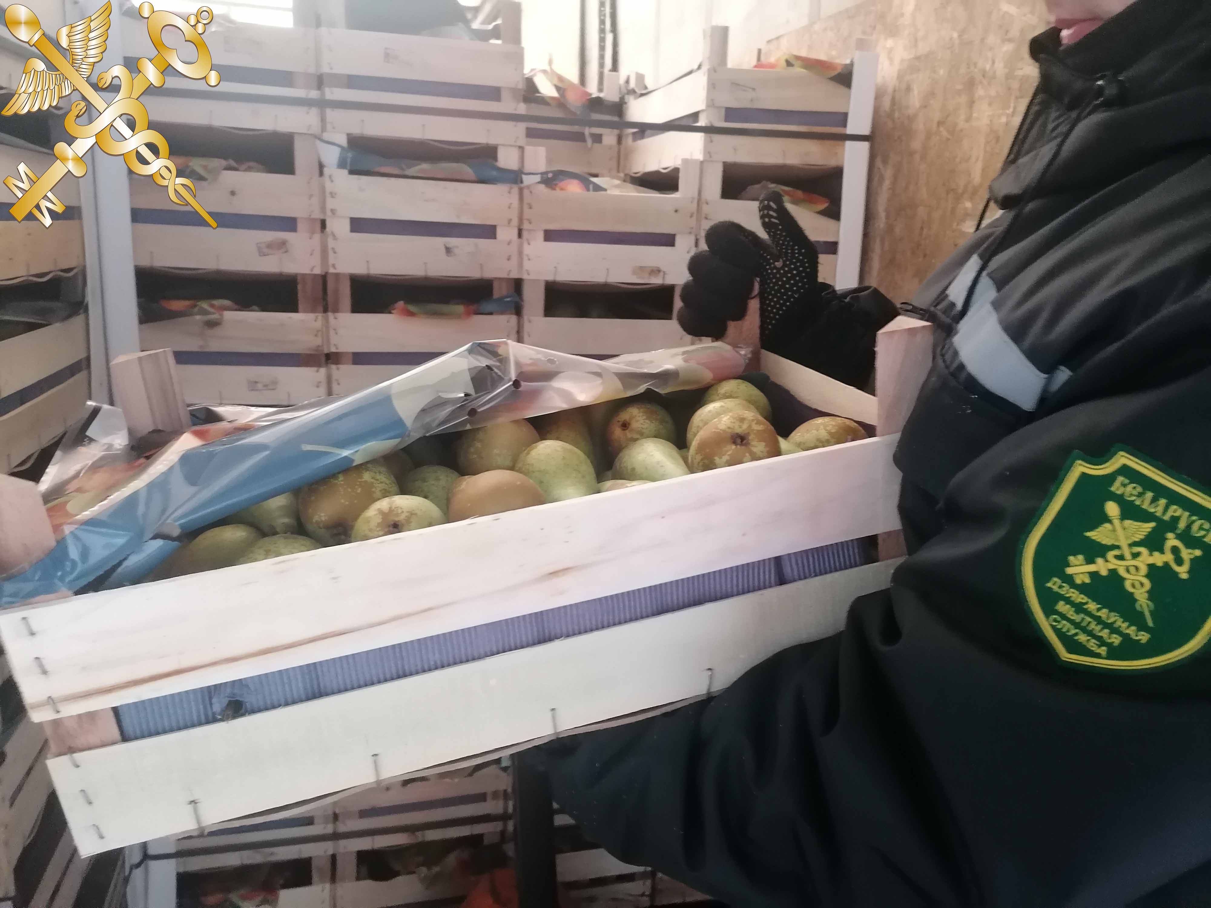 Витебские таможенники пресекли попытку незаконного вывоза из страны 40 т фруктов