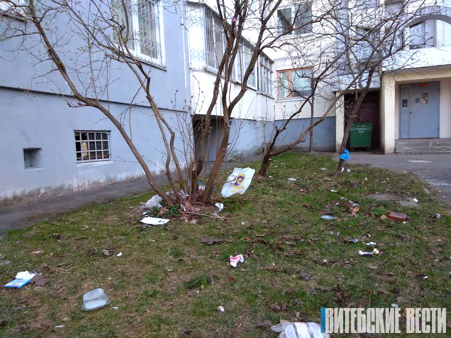 Дворы Витебска снова не убирают: полномочия «Зеленхоз» сдал, а дворников не передал