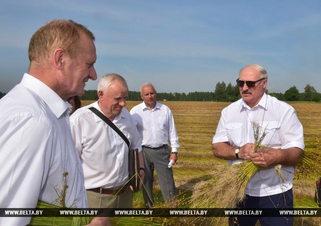 Лукашенко о белорусском льноводстве: «Рентабельность не хуже, чем у нефти»
