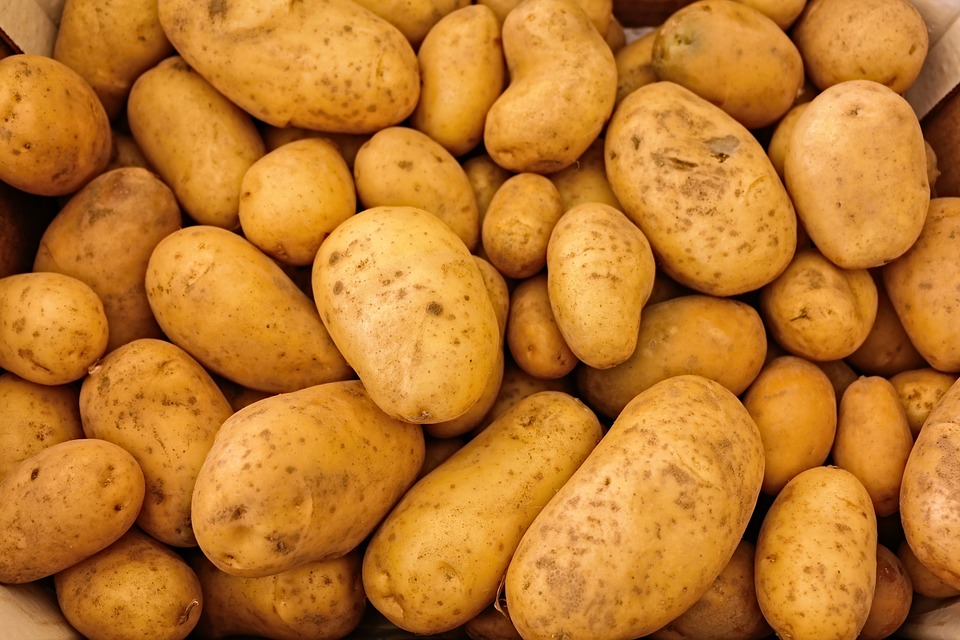 Экспорт белорусской сельхозпродукции в 2018 году превысит 5 млрд долларов