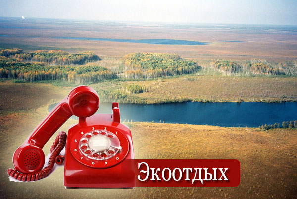 ecophone