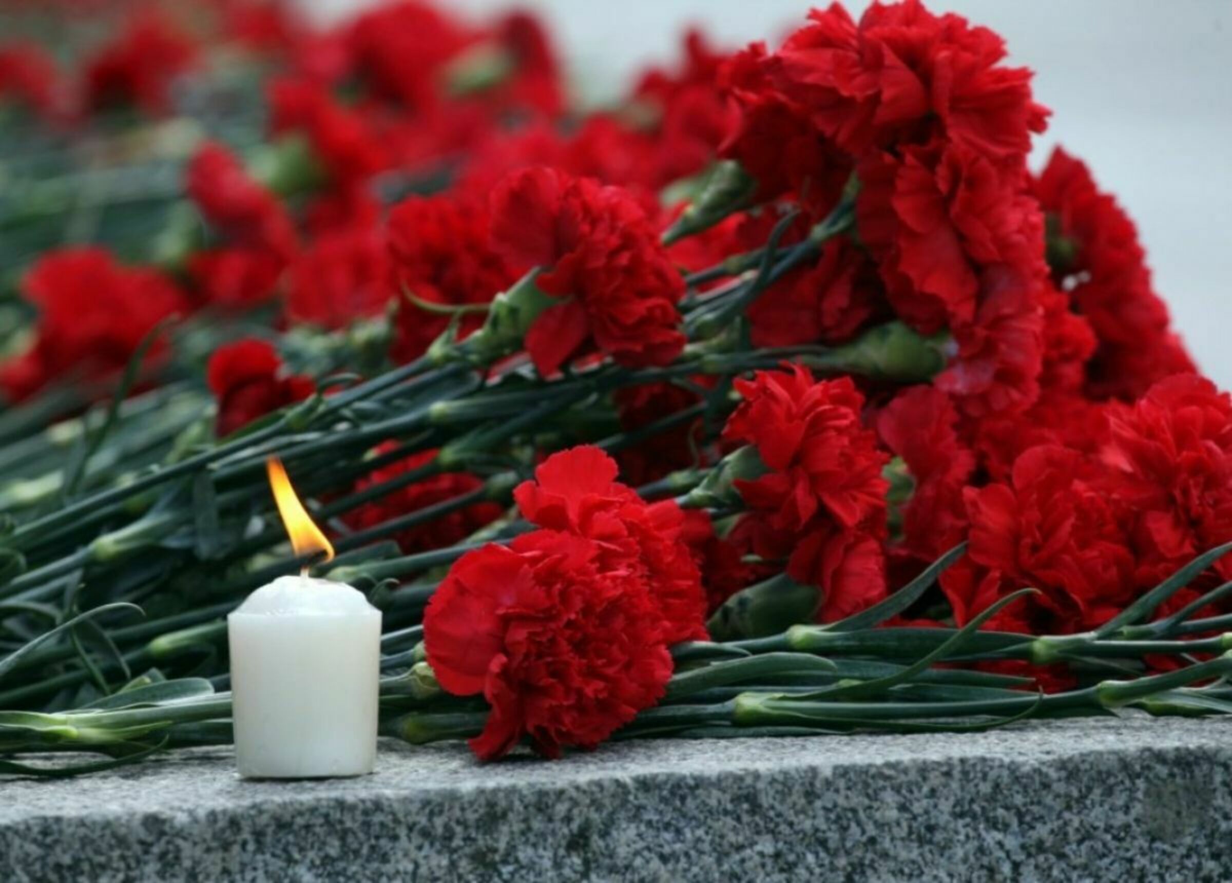 В Глубокском районе планируют установить памятник итальянским военнопленным, погибшим в годы Второй мировой войны