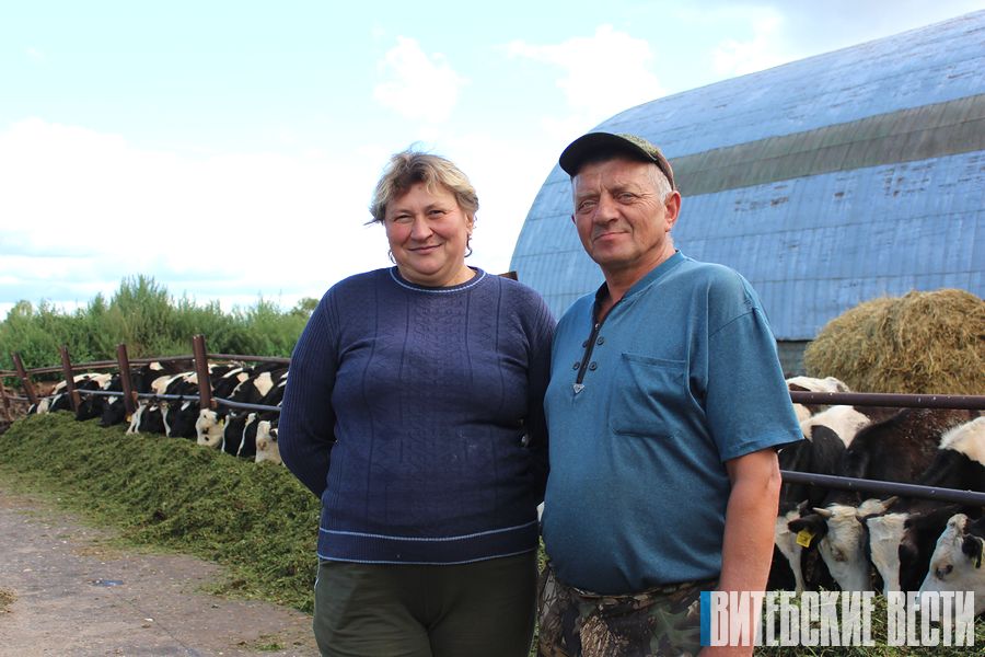 Сям'я Аўчыннікавых больш за 30 гадоў працуе на жывёлагадоўчай ферме «Паліцы» Бешанковіцкага раёна