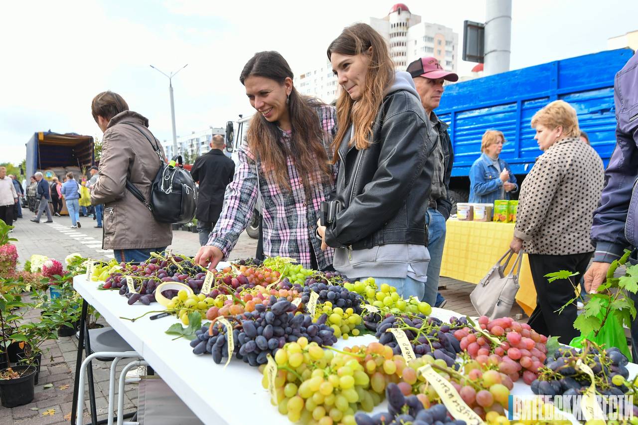 Когда и где в Витебске пройдут городские сельскохозяйственные ярмарки?