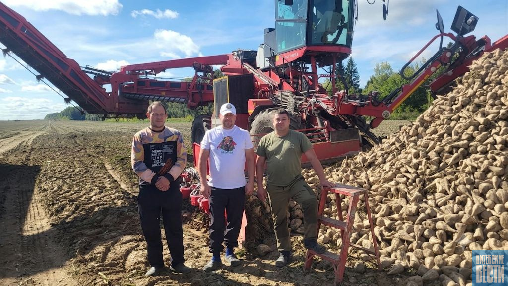 В СУП "Зубревичи-Агро" Оршанского района в разгаре уборка сахарной свеклы